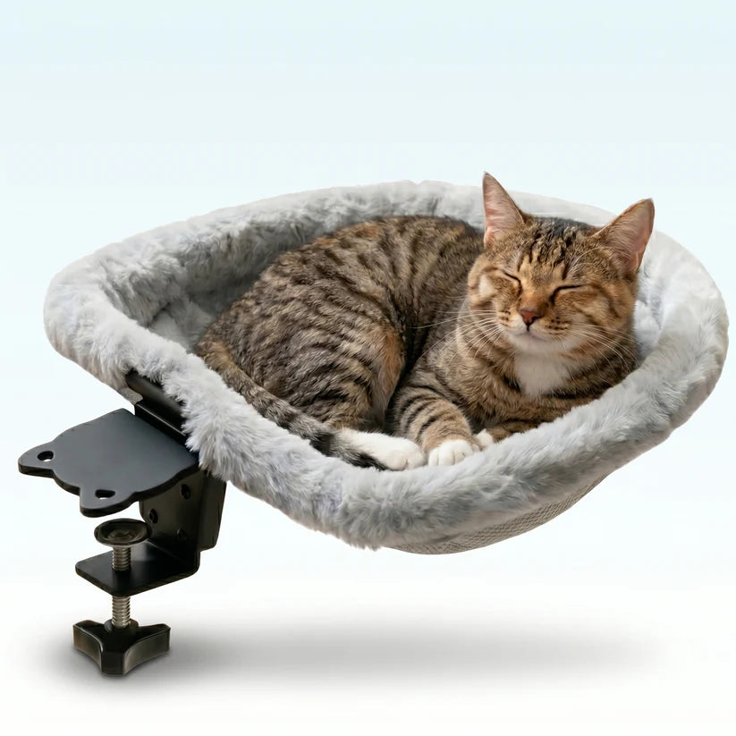 Cat Bed Desk