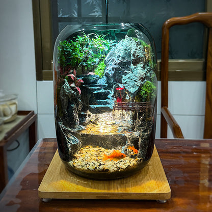 GNYS  (large) Good Fortune Ecological Fish Tank