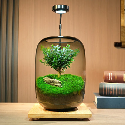 GNYS Tree of Life Ecological tank