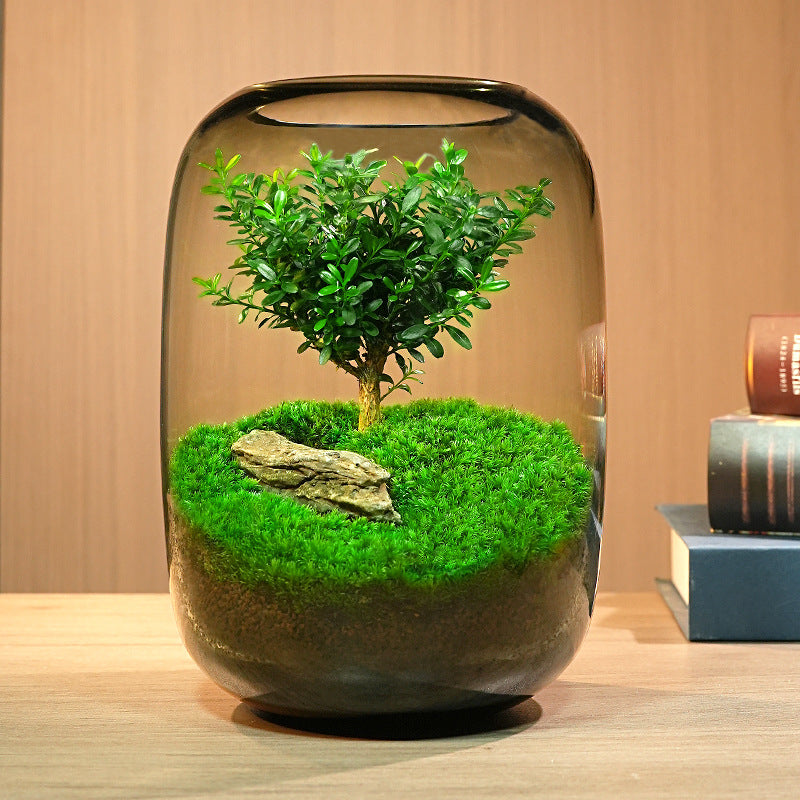 GNYS Tree of Life Ecological tank