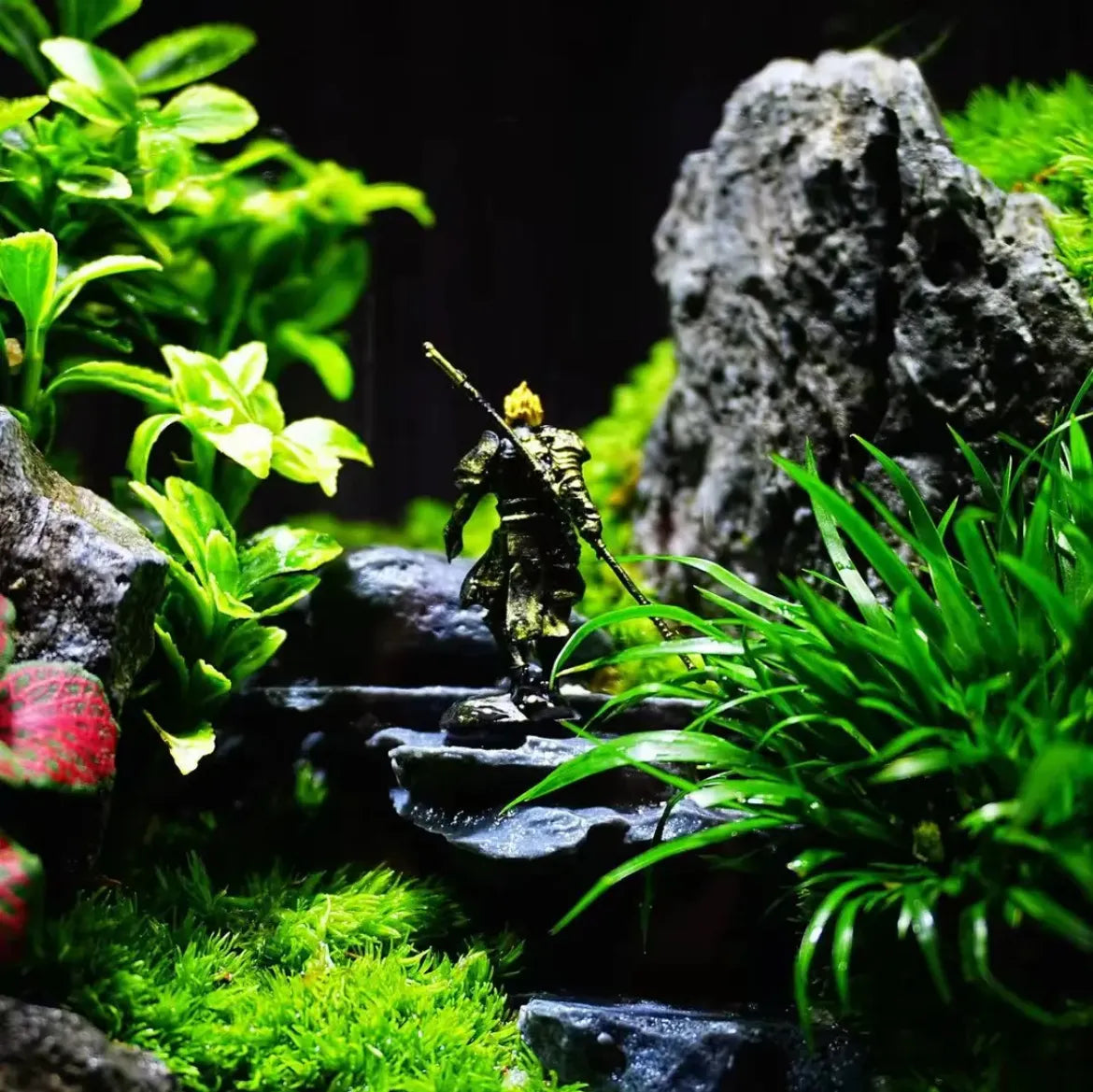 GNYS Amidst the sea of clouds