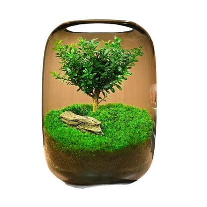 GNYS Tree of Life Ecological tank