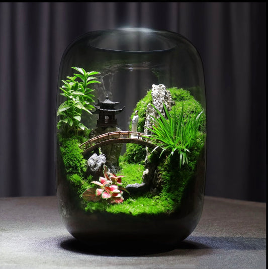 GNXY Green Serenity