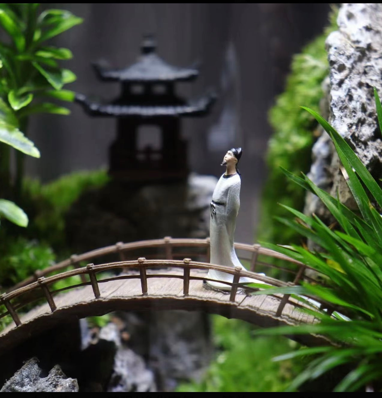 GNXY Green Serenity
